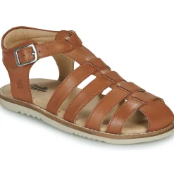 Hot Citrouille et Compagnie - ASMILO Camel