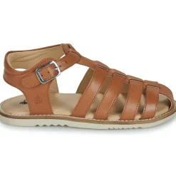 Hot Citrouille et Compagnie - ASMILO Camel