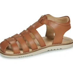 Hot Citrouille et Compagnie - ASMILO Camel