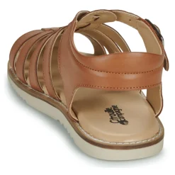 Hot Citrouille et Compagnie - ASMILO Camel