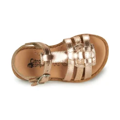 Citrouille et Compagnie - ROLUI Bronze Discount