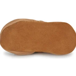 Citrouille et Compagnie - CARAMI Camel