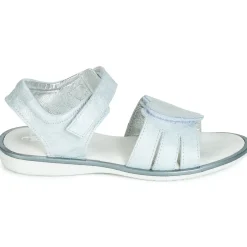 Citrouille et Compagnie - JAFILOUTE