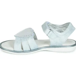 Citrouille et Compagnie - JAFILOUTE