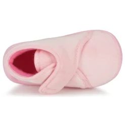 Citrouille et Compagnie - HALI Roseclair