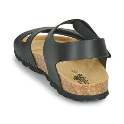 Citrouille et Compagnie - BELLI JOE Noir Online