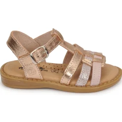 Citrouille et Compagnie - ROLUI Vieuxrose Hot