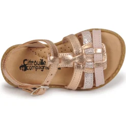 Citrouille et Compagnie - ROLUI Vieuxrose Hot