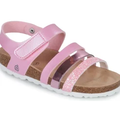 Citrouille et Compagnie - ZELLIE Rose