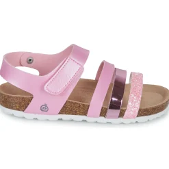 Citrouille et Compagnie - ZELLIE Rose