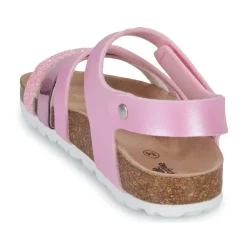 Citrouille et Compagnie - ZELLIE Rose