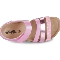 Citrouille et Compagnie - ZELLIE Rose