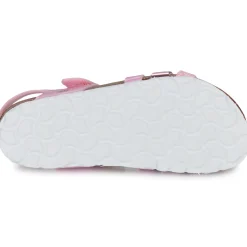 Citrouille et Compagnie - ZELLIE Rose