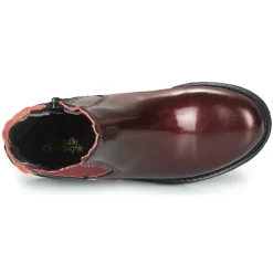 Citrouille et Compagnie - PRAIRIE Bordeaux