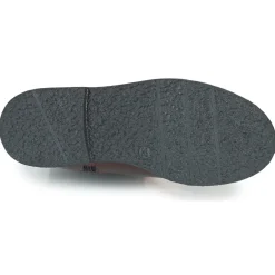 Citrouille et Compagnie - PRAIRIE Bordeaux