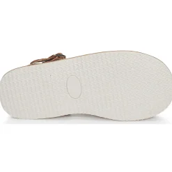 Citrouille et Compagnie - MINOTTE