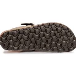 Citrouille et Compagnie - OKOKO Kaki Online