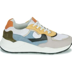 Citrouille et Compagnie - NUMANJI Discount