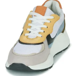 Citrouille et Compagnie - NUMANJI Discount