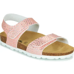 Citrouille et Compagnie - BELLI JOE Rose