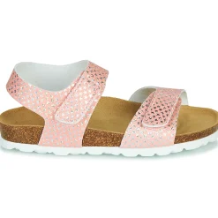 Citrouille et Compagnie - BELLI JOE Rose