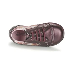 Citrouille et Compagnie - FRICOL