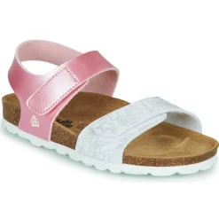 Citrouille et Compagnie - BELLI JOE Rose New