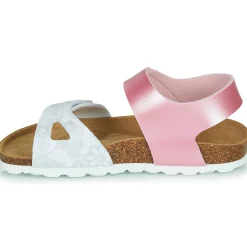 Citrouille et Compagnie - BELLI JOE Rose New