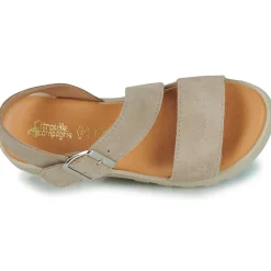 Citrouille et Compagnie - PIPOTI Taupe New