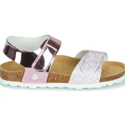 Citrouille et Compagnie - BELLI JOE Rose Online