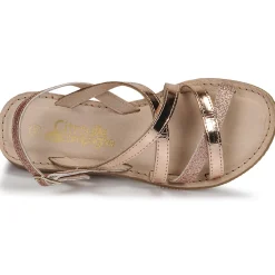 Citrouille et Compagnie - GENTOU