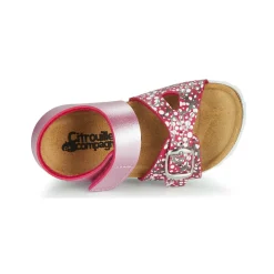 Citrouille et Compagnie - MIRTINO Rose Hot