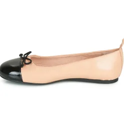 Outlet Citrouille et Compagnie - LIOGE