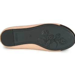 Outlet Citrouille et Compagnie - LIOGE