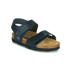 Citrouille et Compagnie - BELLI JOE