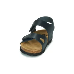 Citrouille et Compagnie - BELLI JOE