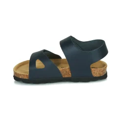 Citrouille et Compagnie - BELLI JOE