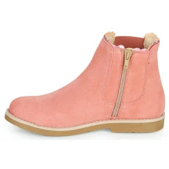 Citrouille et Compagnie - PRAIRIE Rose Online