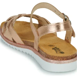 Citrouille et Compagnie - ANEMONI