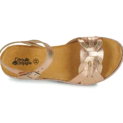 Citrouille et Compagnie - ANEMONI