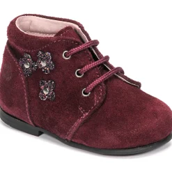 Citrouille et Compagnie - NONUP Bordeaux New