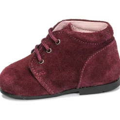 Citrouille et Compagnie - NONUP Bordeaux New