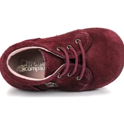 Citrouille et Compagnie - NONUP Bordeaux New