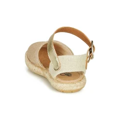 Citrouille et Compagnie - MIOSOTIS