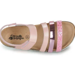 Citrouille et Compagnie - ZELLIE