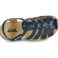 Citrouille et Compagnie - ASMILO Marine New