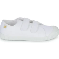 Citrouille et Compagnie - MINOT