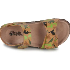 Online Citrouille et Compagnie - PISTAMI Imprimédinosaurescamel