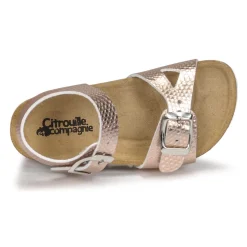 Discount Citrouille et Compagnie - RELUNE Bronze