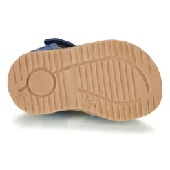 Citrouille et Compagnie - MABILOU